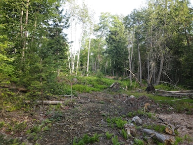 Lot 7 Oak Pond Rd, Skowhegan, ME 04967 - photo 2