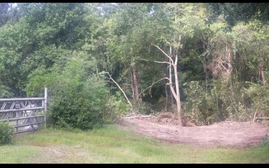 Photo of property cleared