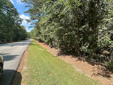 000 Georgia 220, Lincolnton, GA 30817 - photo 3