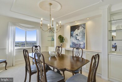 5901 Mount Eagle Dr unit 1207A, Alexandria, VA 22303 - photo 5