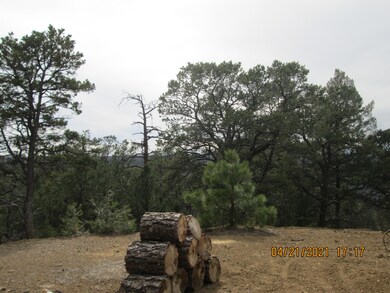 33081 Tall Timber Trace, Trinidad, CO 81082 - photo 7