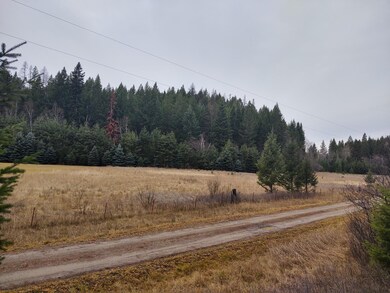 IMG_20211203_133340157_HDR