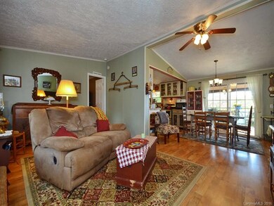 580 Piney Knob Rd, Leicester, NC 28748 - photo 7