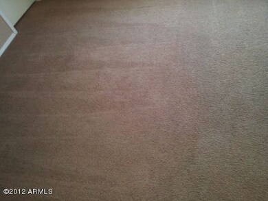 CARPET