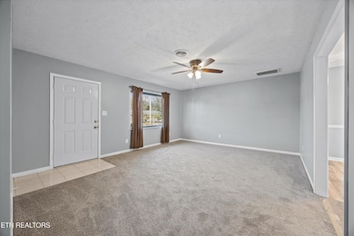 231 River Bottom Dr, Sevierville, TN 37862 - photo 4