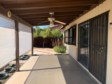 Back Patio