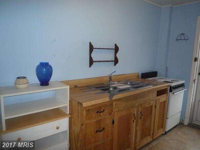 3309 Lake Ave, Baltimore, MD 21213 - photo 6