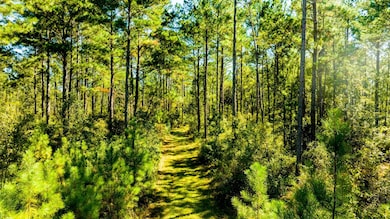 0 Bay Branch Church Rd unit 25551331, Claxton, GA 30417 - photo 6