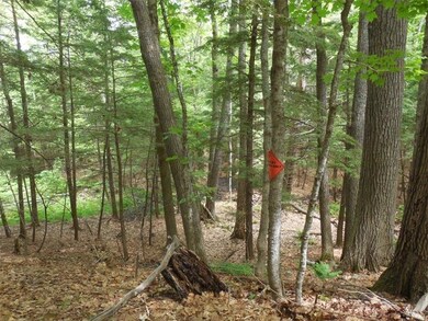 250 Drews Mill Rd, Biddeford, ME 04005 - photo 3