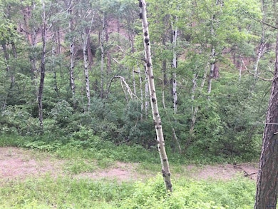 0 Danube Ln, West Pennington, SD 57702 - photo 6