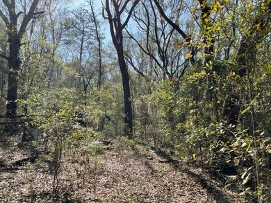 232 SW Stell Glen, Lake City, FL 32024 - photo 7