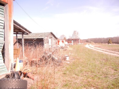 Back Field