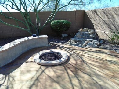 AZ15-001 1_24_15 backyard 4