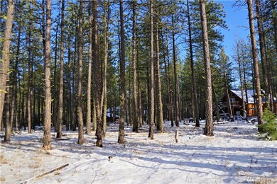 10 Winston Rd, Ronald, WA 98940 - photo 4