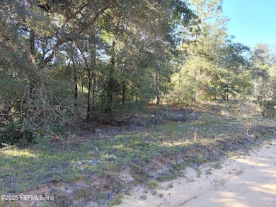 222 Hamilton Ave, Interlachen, FL 32148 - photo 2