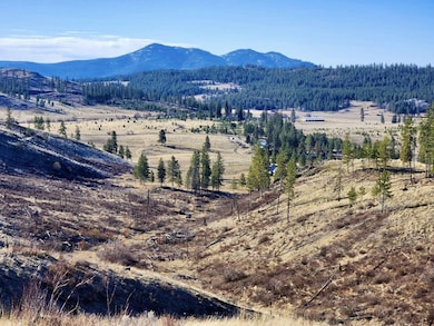 0 Carpenter Rd, Fruitland, WA 99129 - photo 3