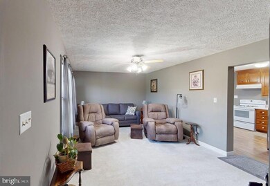 199 Elsie Ln, Moorefield, WV 26836 - photo 3