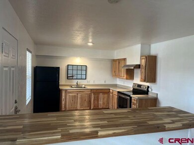 634 E 8th Ave, Durango, CO 81301 - photo 5