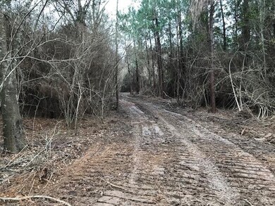 000 Airport Rd, Tylertown, MS 39667 - photo 4