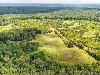 1777 Old Mill Rd, Richburg, SC 29729 - photo 2