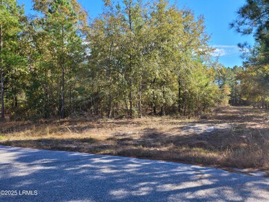 TBD Beavers Rd, Ridgeland, SC 29936 - photo 2