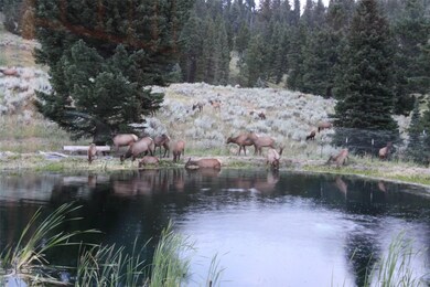 6519 Beaver Creek Rd, Big Sky, MT 59716 - photo 5