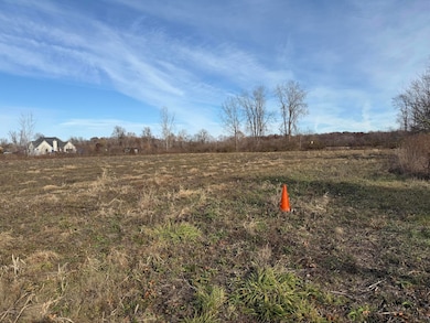 lot 1 Macey Rd, Willis, MI 48191 - photo 6