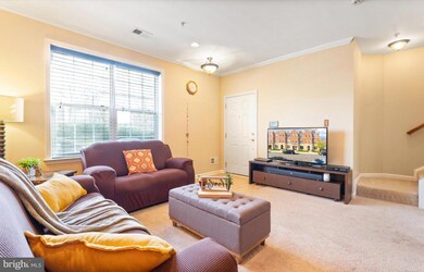 22705 Settlers Trail Terrace, Ashburn, VA 20148 - photo 7