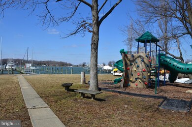 19 Farragut Rd, Annapolis, MD 21403 - photo 6