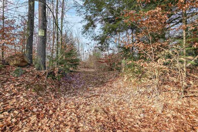 404/91/1A Merrill Rd, Candia, NH 03034 - photo 5