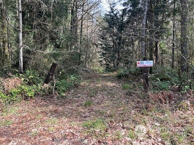 0 Harmon Rd unit NWM2211135, Adna, WA 98522 - photo 6