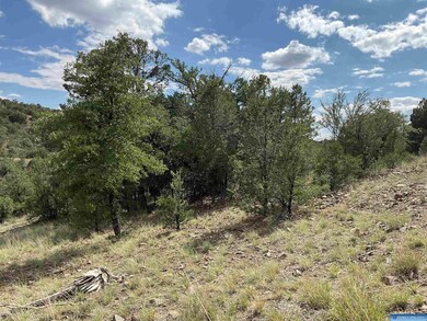 78 Lot Everest Point unit Lot  78, Silver City, NM 88061 - photo 4