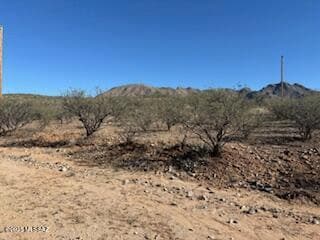 220 Via Nazas unit 5, Rio Rico, AZ 85648 - photo 4