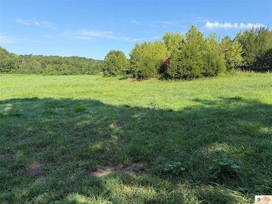 0 Pickett Mell Rd, Columbia, KY 42728 - photo 3