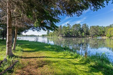 Sit under the pine trees and watch the lazy Pine R