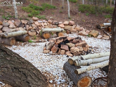 40 Flathead Ln, Woodland Park, CO 80863 - photo 6