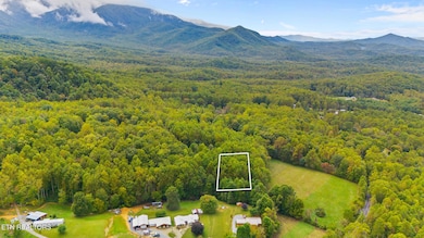 dji_20250930144842_0215_d_line