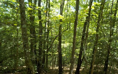 Additional View