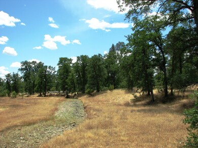 Seasonal Creek - Summer