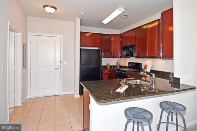8045 Newell St unit 413, Silver Spring, MD 20910 - photo 4