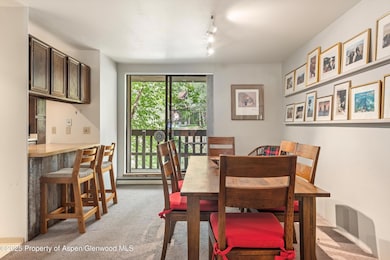 1024 E Hopkins Ave unit 16, Aspen, CO 81611 - photo 4