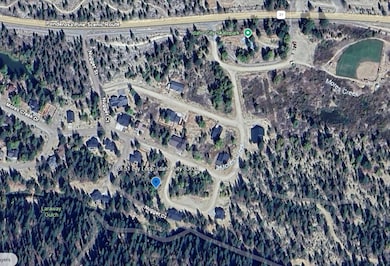 Google Earth Image