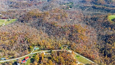 DJI_20241105110909_0009_D