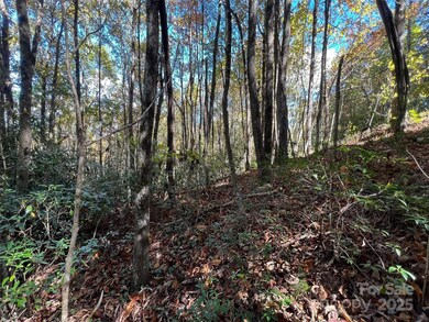 0 Wild Magnolia Way unit 46, Zirconia, NC 28790 - photo 2