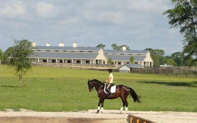 LOT35 Mandiba Dr, Lake City, FL 32024 - photo 2