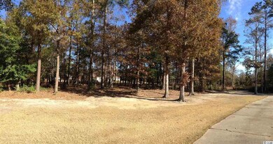 Lot 15 Bantry Ln, Conway, SC 29526 - photo 3