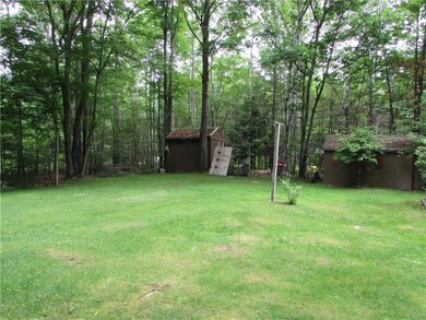 Side yard w/ Sheds