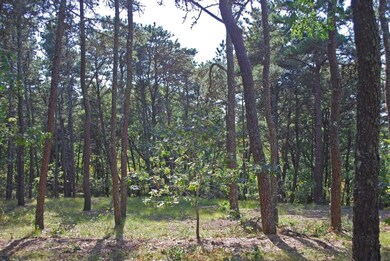 1 Dike Rd, Edgartown, MA 02539 - photo 3