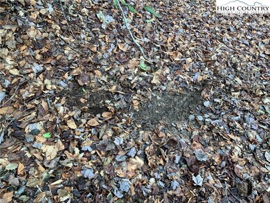 TBD Fall Creek Rd, Purlear, NC 28665 - photo 5