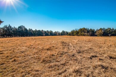 3.126 Dugan Chapel Rd, Bells, TX 75414 - photo 3